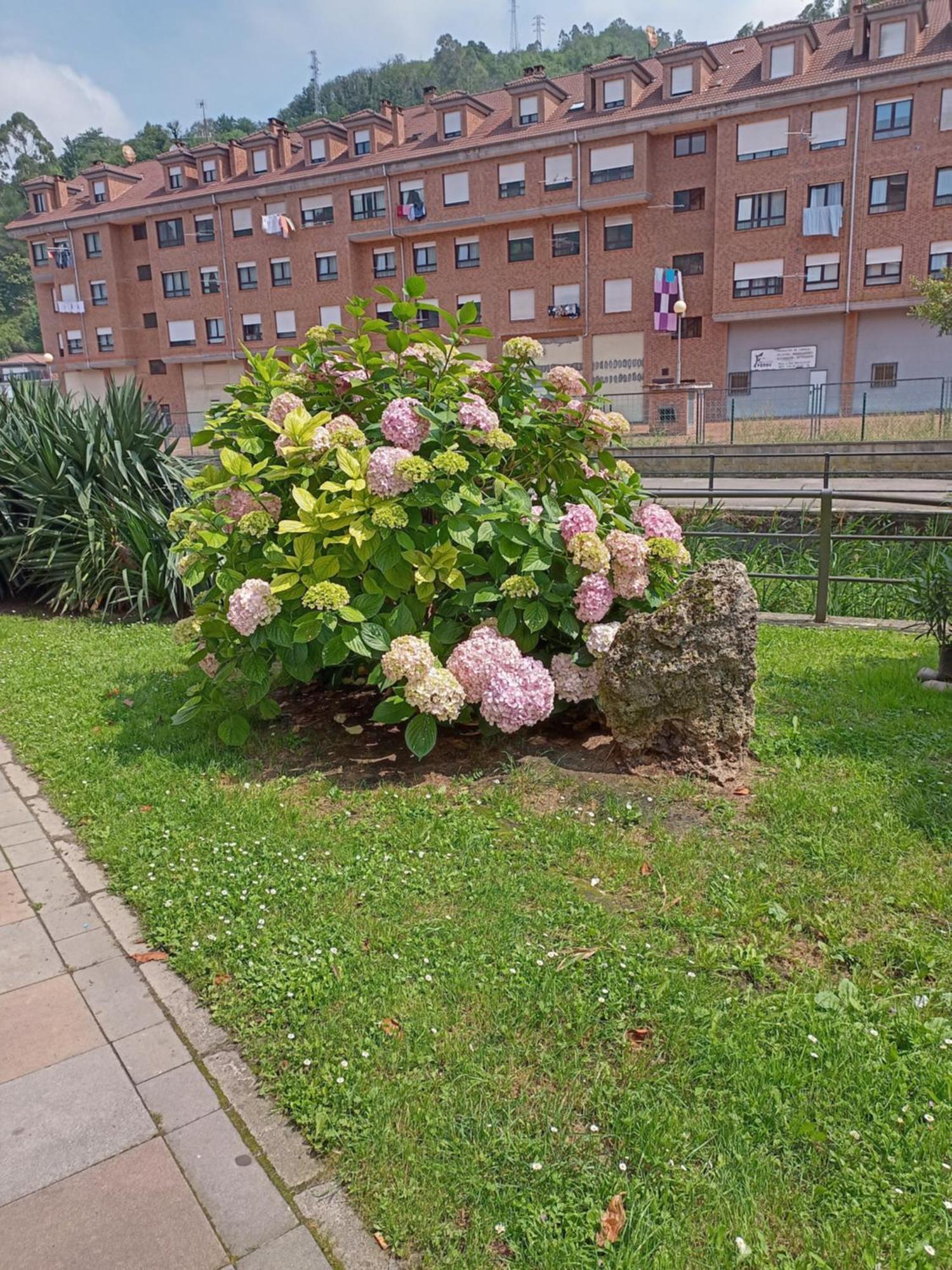 El Refugio De Noa Διαμέρισμα Mieres  Εξωτερικό φωτογραφία